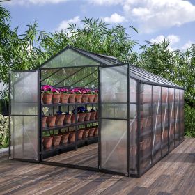 8' x 12' Outdoor greenhouse, heavy duty polycarbonate greenhouse, large walk-in greenhouse with double doors and two ventilation windows (Color: as Pic)